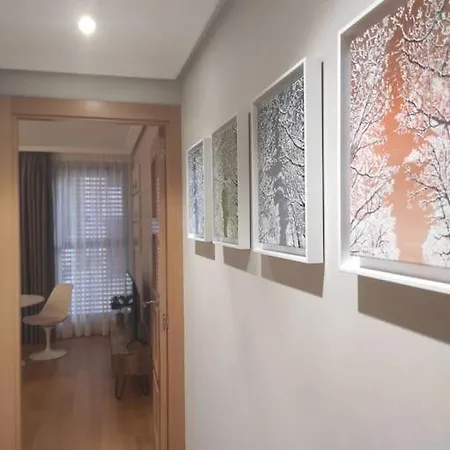 Cordon 4- 1d Vut 09-402